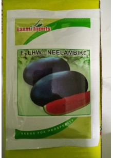  Neelambike Watermelon